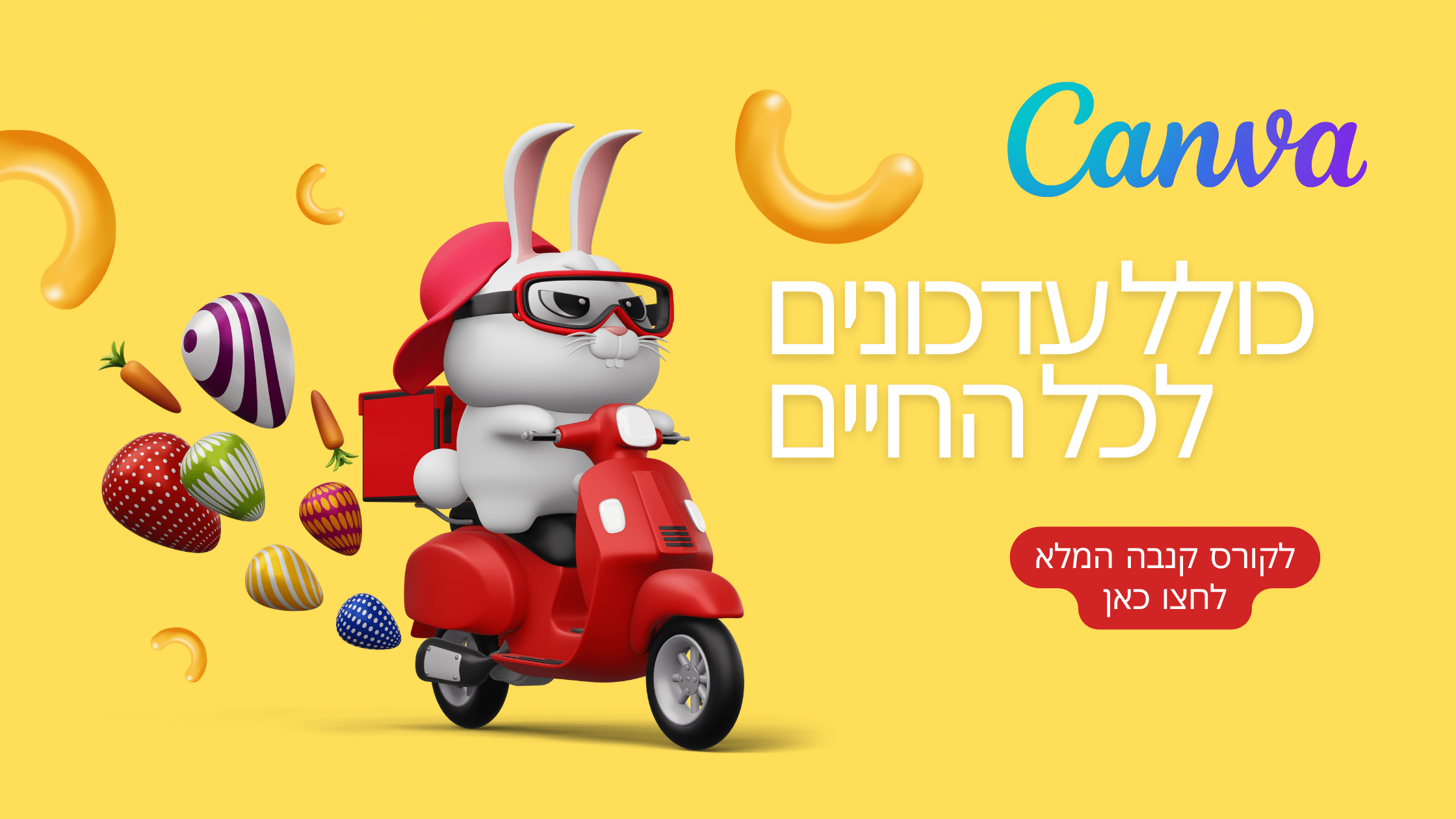 באנר קורס קנבה